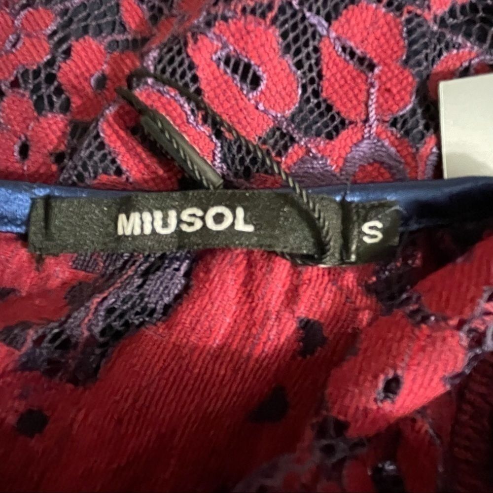 Miusol lace fit and flare dress, NWT, small - Picture 5 of 6